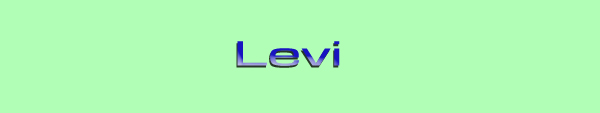 levi2'07